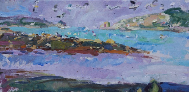 Gulls over Plumb Island Tresco 1. Oil on canvas. 40 x 90 cm
